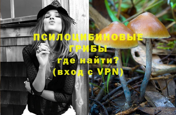 скорость Баксан
