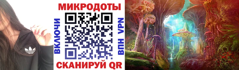 Псилоцибиновые грибы Cubensis  как найти наркотики  Бодайбо 